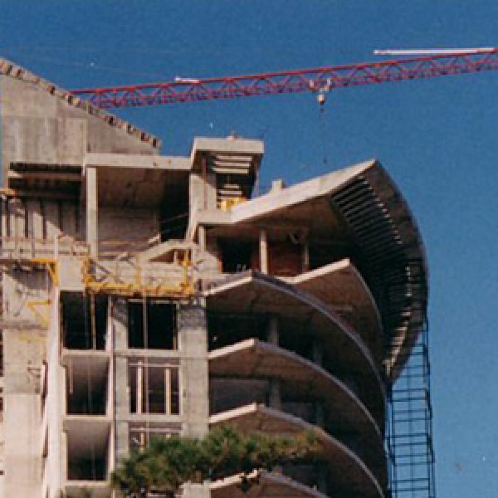 Torre Sea and Forest